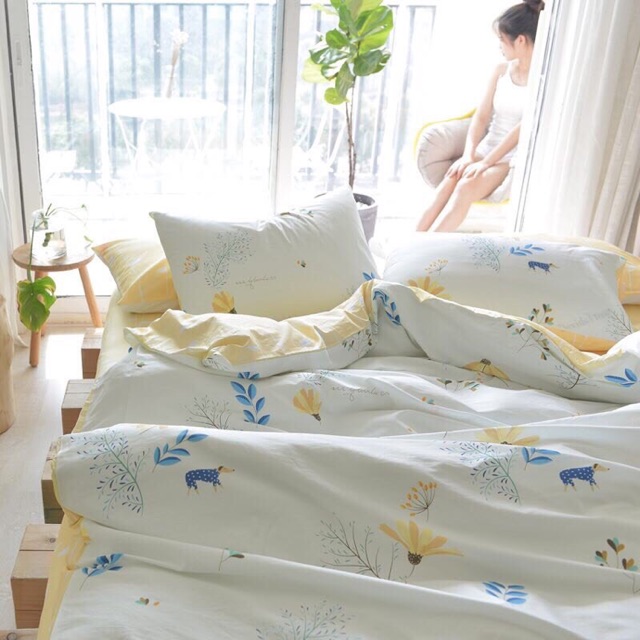 Bộ chăn ga cotton 6s