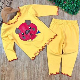 Combo quần áo trẻ Em kim tiên