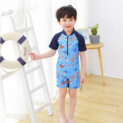 Bộ Đồ Bơi Ngắn Tay Họa Tiết Khủng Long Hoạt Hình Cho Bé Trai 2-11 Tuổi
