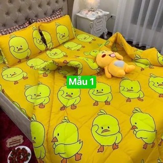 Ga giường cotton bộ gồm