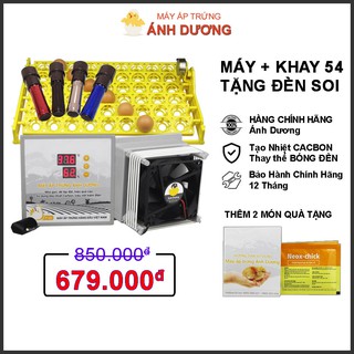 Máy ấp trứng mini Ánh Dương P100 Khay Đảo Tự Động 54 Trứng - Kèm Đèn Soi Trứng - Lắp Vào Thùng Xốp