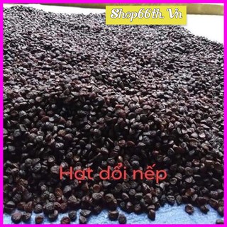 5 hạt dổi+50 Gram Hạt mắc khén dùng thử - Loại chất lượng cao
