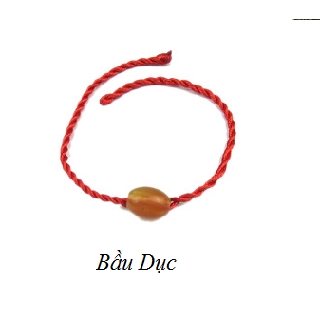 DÂY MAY MẮN