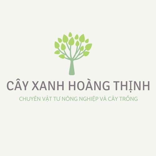 CHẾ PHẨM HOA LAN- HÙNG NGUYỄN 6IN1