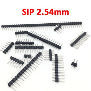 [2 cái] Chân cắm DIP SIP