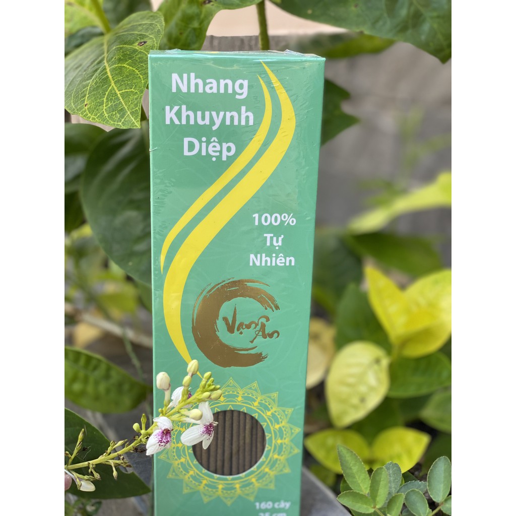 Nhang Khuynh Diệp 100% Organic Tẩy Uế Trừ Tà - Nhang Sạch Tự Nhiên Organic An Toàn Cho Người Sử Dụng -Hộp 100 và 160 Cây