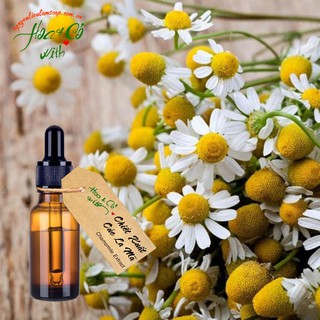 (HCM) CHIẾT XUẤT CÚC LA MÃ HỮU CƠ