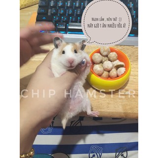Kẹo Trái Cây [HAMSTER]