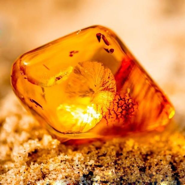 Xà Phòng Hổ Phách Amber Ba Lan - Sản phẩm HANDMADE THIÊN NHIÊN