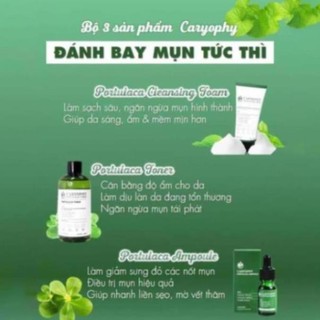 Serum Trị Mụn Thâm Dành Cho Da Nhờn Caryophy 1ml