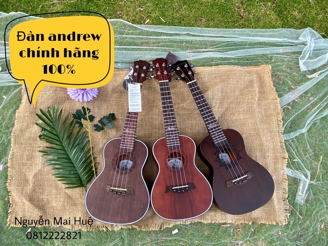 Đàn ukulele Concert Andrew chính hãng- tặng đủ phụ kiện