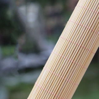 Chiếu trúc mini nhỏ