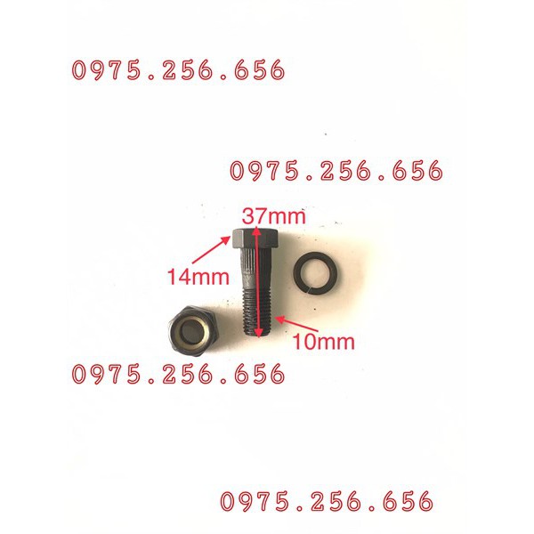 Ốc Cắt Đăng Phi 10 dài 2cm