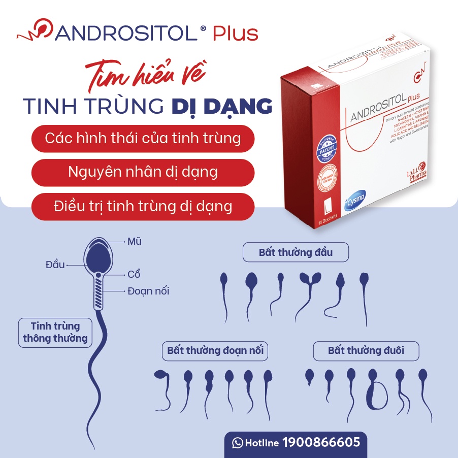 faed65bf6a0c22a18448a55aee6b9582