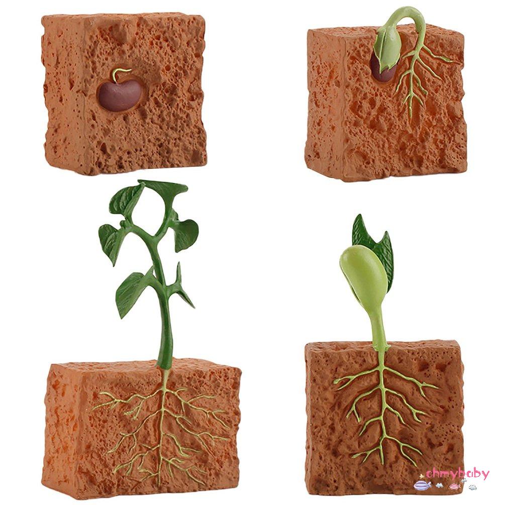 【OMB】 Simulation Life Cycle Of Green Bean Plant Growth Cycle Model Action Figures