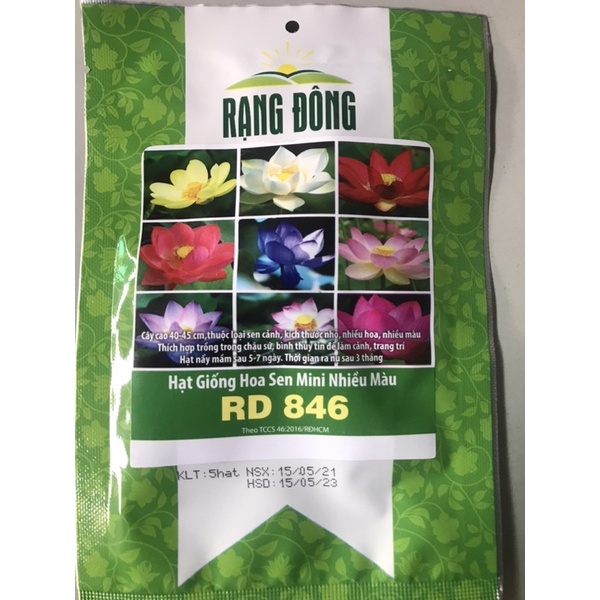 Hạt giống hoa sen mini Nhật Bản