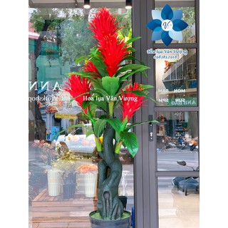 Cây Giả 🌺 Cây 5 Quả Đỏ Tròn, Cây Hoa Thanh Long