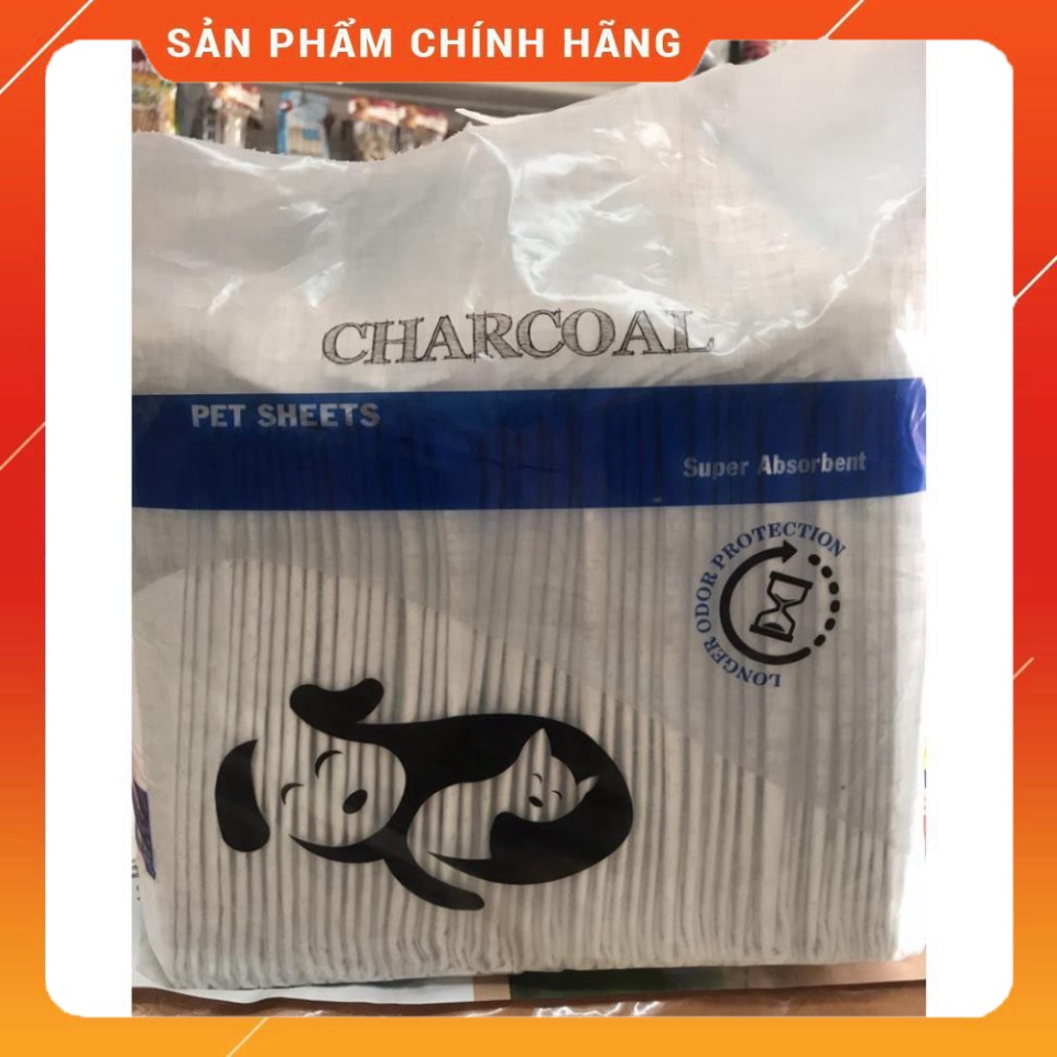 Miếng lót vệ sinh chó mèo