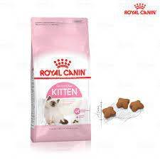 Thức ăn cho mèo con và mèo lớn Royal Canin Kitten 36 + Fit 32 tỉ lệ 1:1