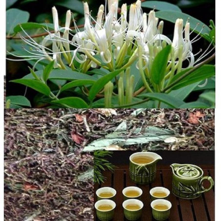 1kg Trà Son Mật  Hồng Sâm - Thanh nhiệt  Giải khát mùa Hè  MS 03 | BigBuy360 - bigbuy360.vn