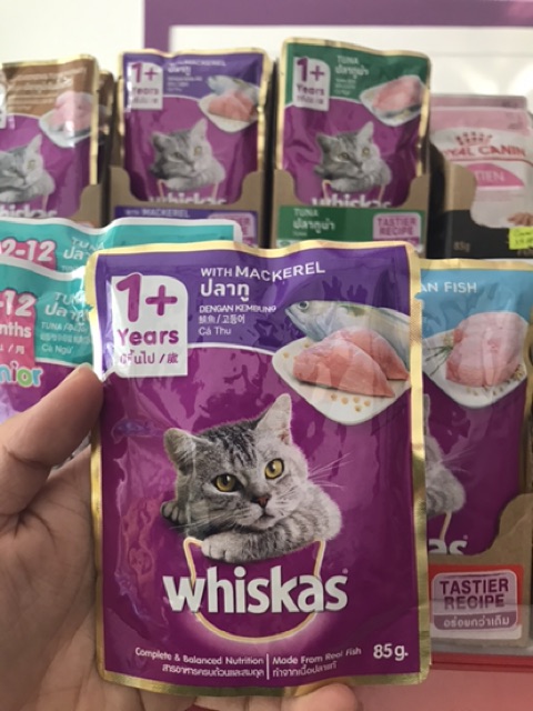 Pate dành cho mèo Whiskas