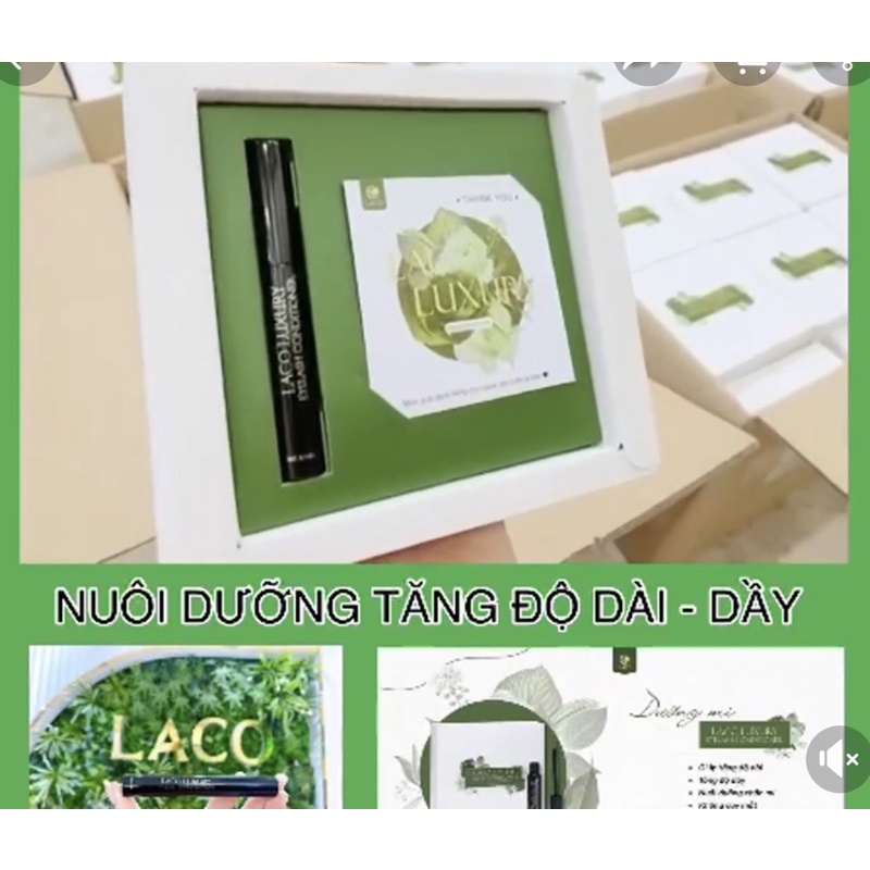 Dưỡng mi Laco