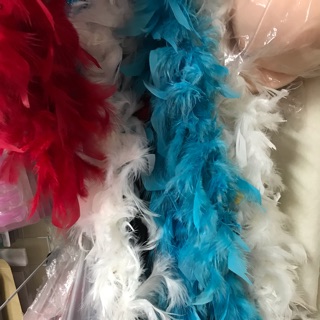 dây lông vũ chụp ảnh mẫu