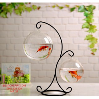 Bể Cá Mini Để Bàn Phong Thủy Hình Chữ X 24 ( Tặng kèm combo 2 phụ kiện trang trí)