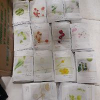 Combo mười miếng đắp mặt nạ Innisfree