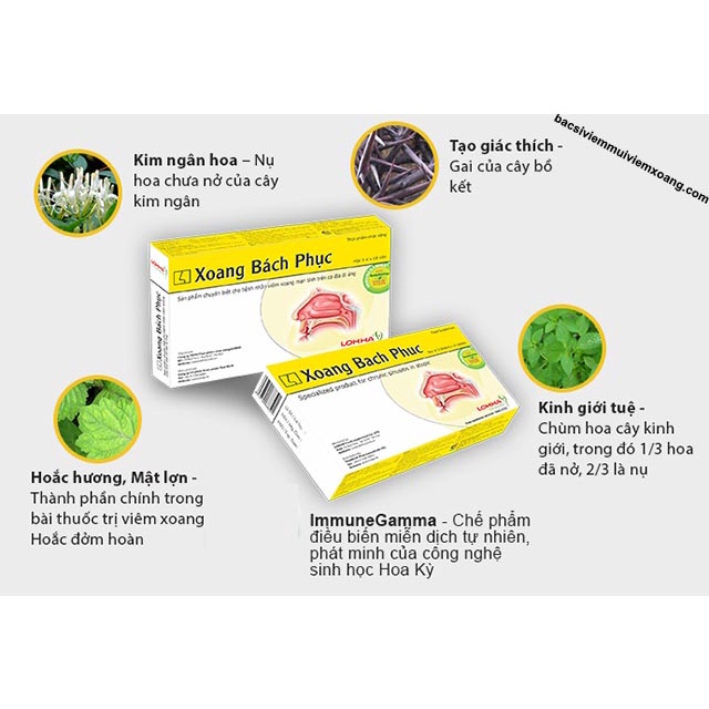 Xoang Bách Phục hỗ trợ giảm mũi xoang - Có tem tích điểm