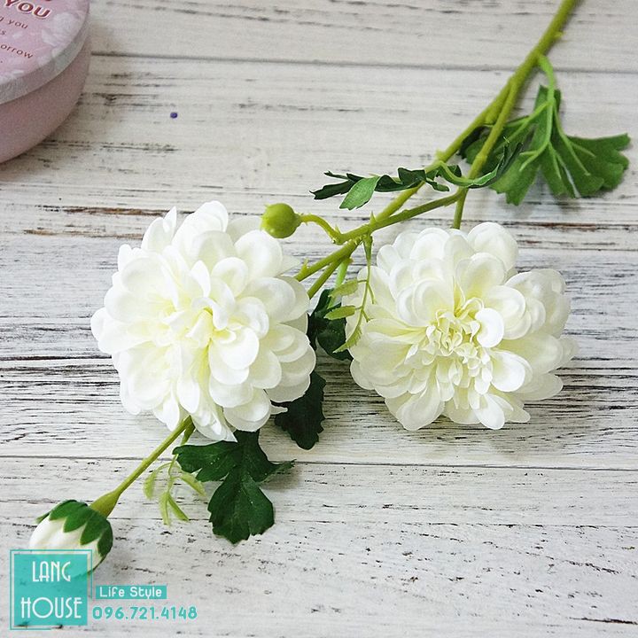 Hoa Giả Hoa Lụa - HOA THƯỢC DƯỢC POMPON Loại 1 - 1 Cành 2 Bông