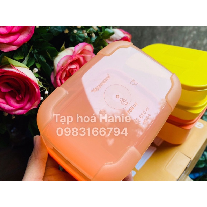 SET 4 HỘP TUPPERWARE NGĂN ĐÔNG 700ML + 300ML