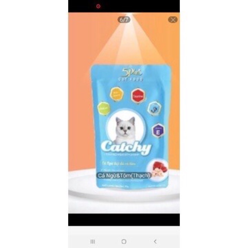 PATE catchy 70g , thức ăn cho mèo con và mèo lớn