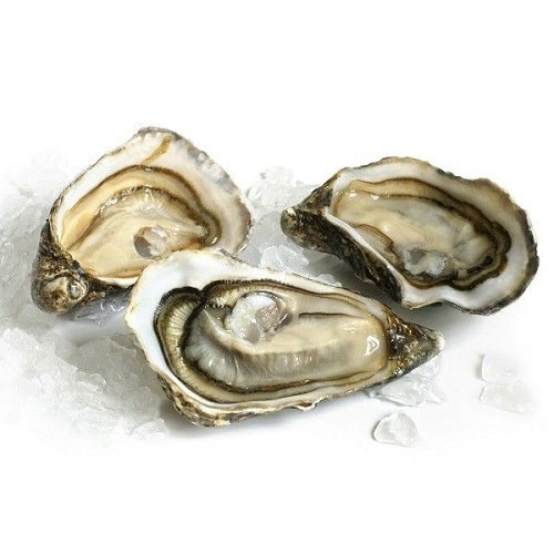 Tinh Chất Hàu Biển Oyster Plus ZinC Goodhealth 60 viên - Viên Hàu Úc Oyster Plus