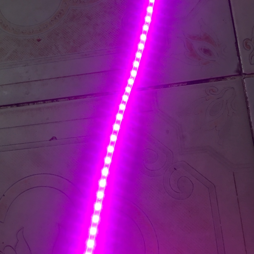 Đèn led dây thường k nháy chỉ sáng k nháy!
