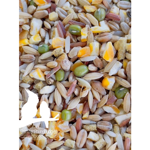 4kg ngũ cốc cơ bản cho Gia Cầm • Bồ Câu • Chim Cảnh
