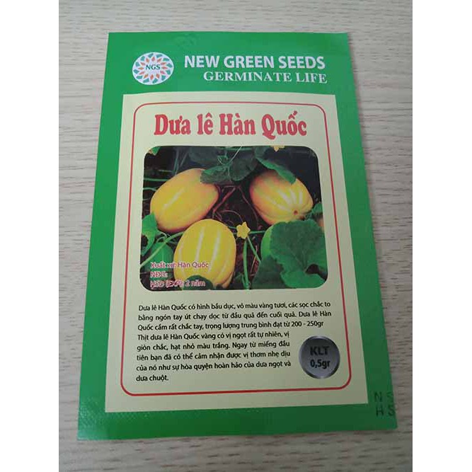 Hạt giống Dưa lê Hà Quốc (Dưa vàng long yellow) 0.5gr