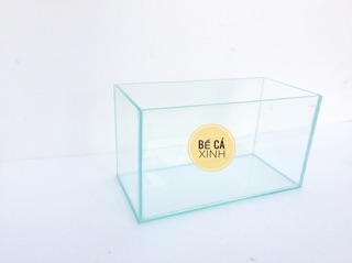 Bể betta 3 ngăn
