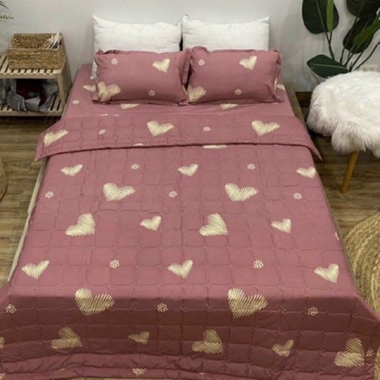 Sét Chăn Ga Gối Hình Tim Hồng Xước