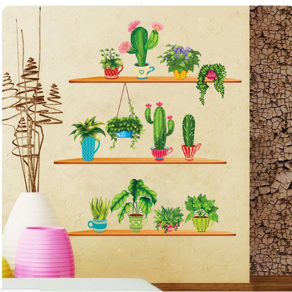 Decal  xương rồng 3 kệ  - XH9309392- thaomivi | BigBuy360 - bigbuy360.vn