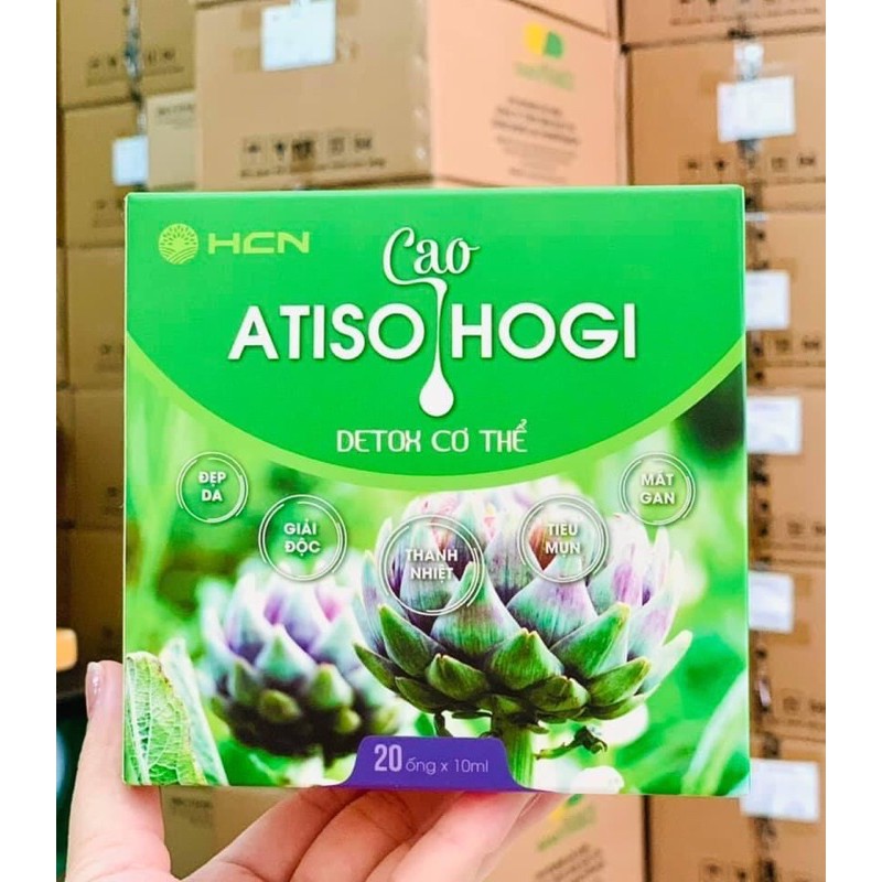 [ Hàng cao cấp ] Cao atiso Hogi 20 ống *10 ml , thanh lọc cơ thể , bổ gan, tiêu hóa tốt