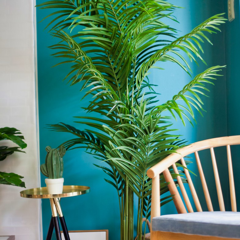 Cây dừa cảnh giả bằng nhựa trang trí nhà cửa | Jassi Decor