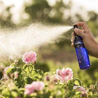 NƯỚC HOA HỒNG MELVITA BIO