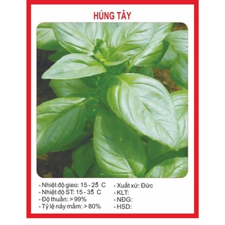 Hạt Giống Húng Tây - 0.5gram