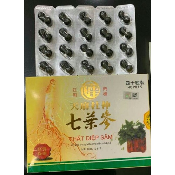 Thất diệp sâm vỉ malaysia