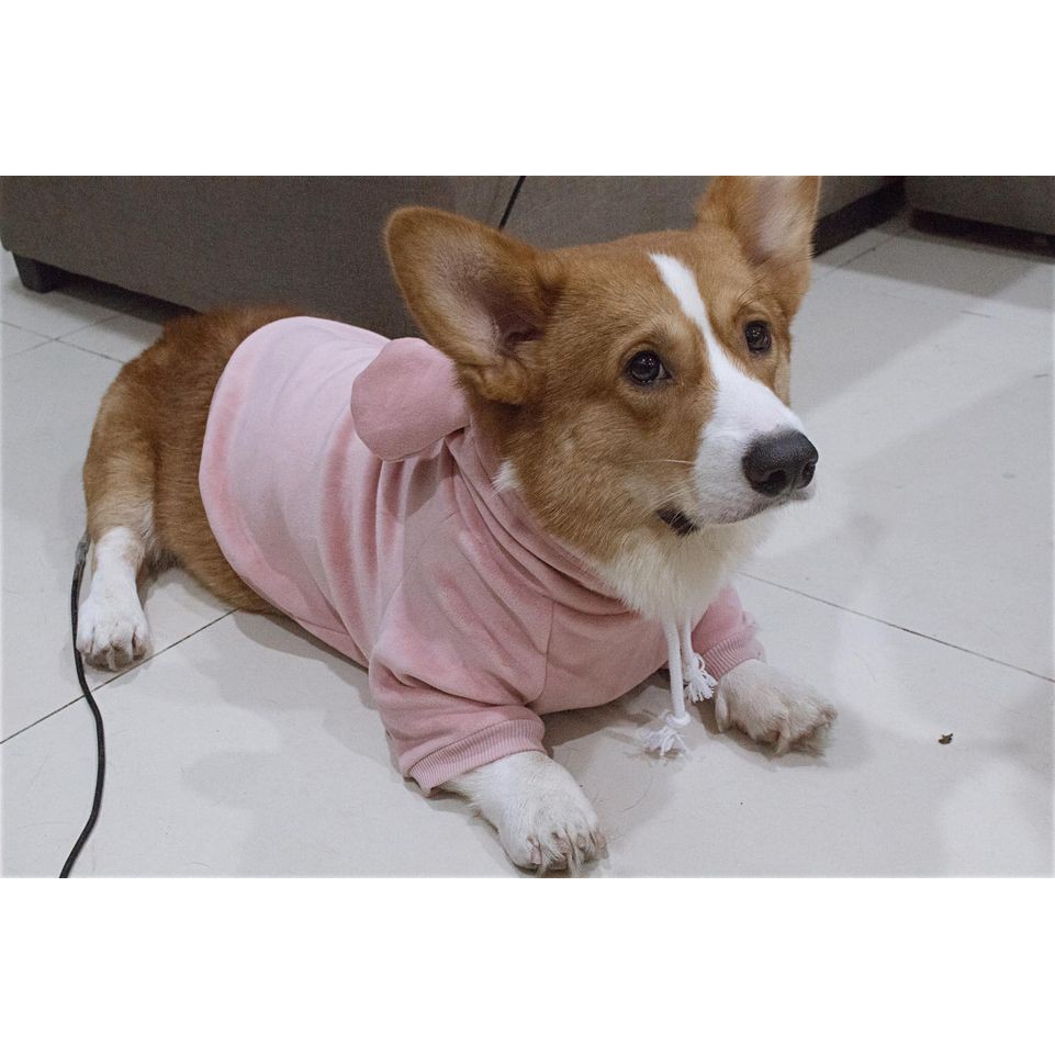 Áo Hoodie Tai Gấu Gia Đình Thú Cưng