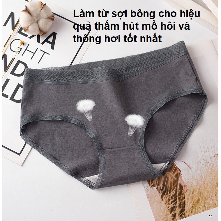 [CÓ SIZE XXL] Quần lót cotton viền ren sexy quyến rũ thấm hút mồ hôi QC48