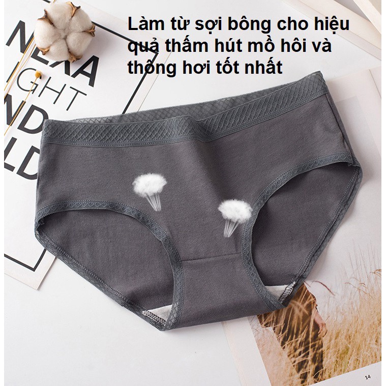 Quần lót cotton viền ren sexy quyến rũ thấm hút mồ hôi Q48