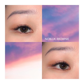 ÁP TRÒNG NOBLUK BROWNIE