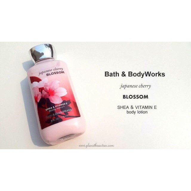 Sữa dưỡng thể Bath&Body Works Japanese Cherry Blossom, sữa dưỡng thể hoa anh đào